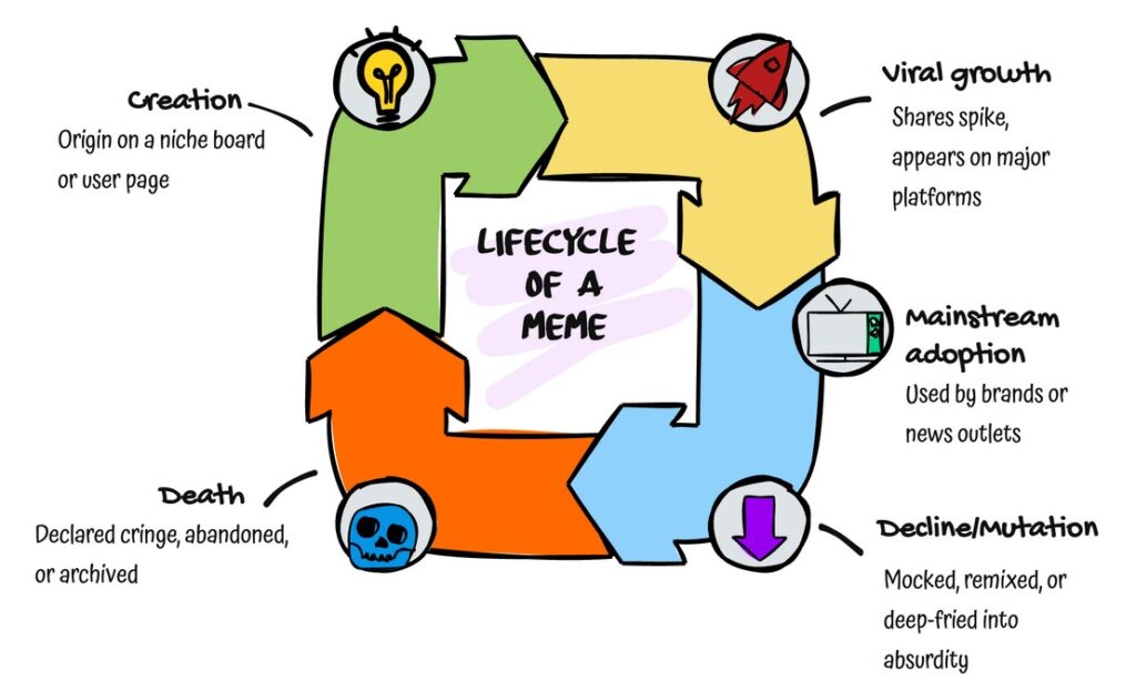 Lifecycle Of A Meme 1024x623