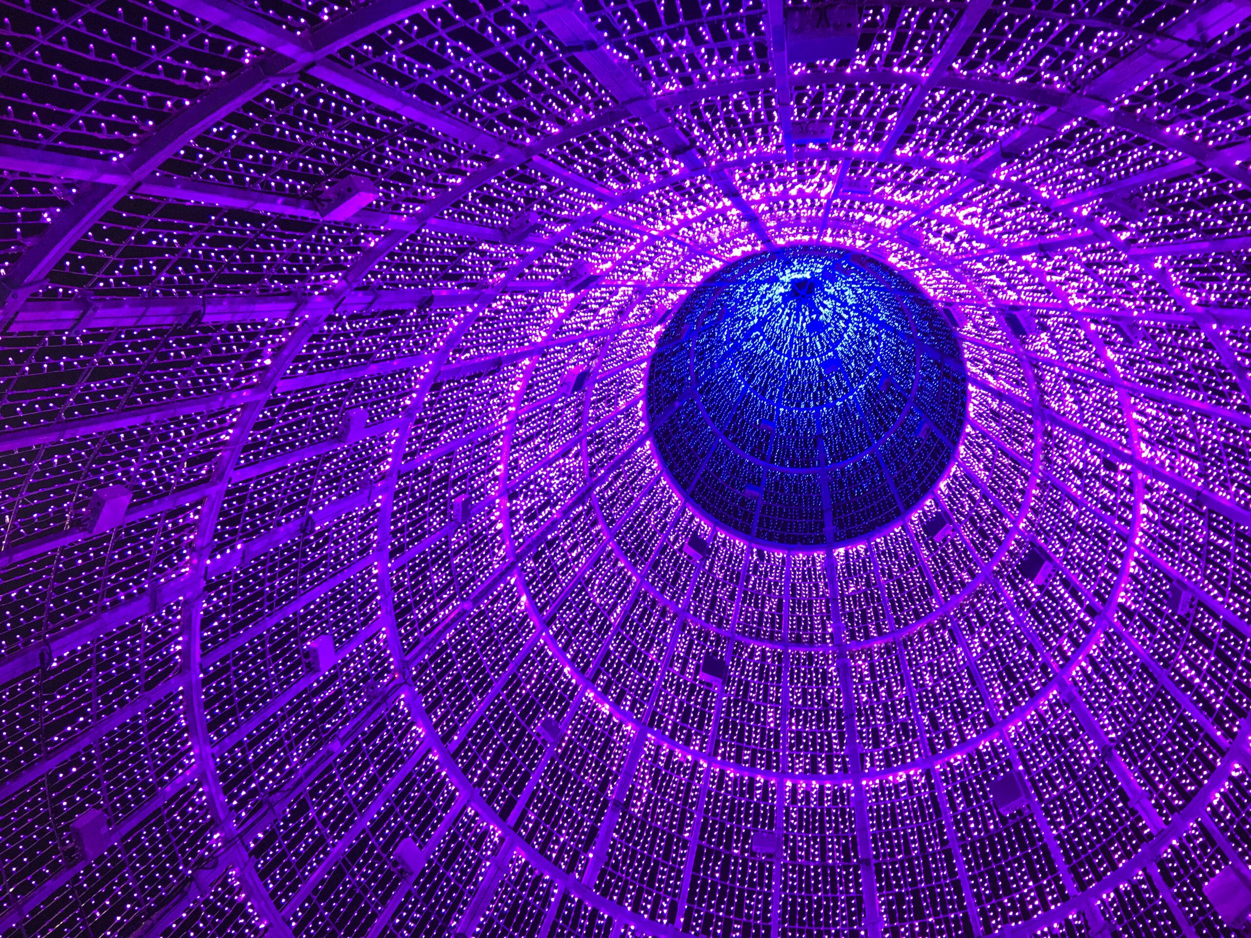 purple light 2024 10 11 22 26 26 utc