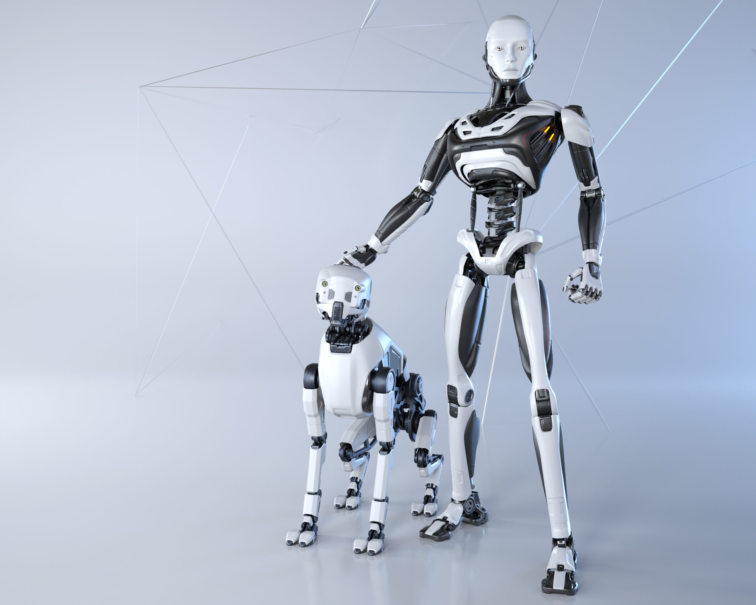 AI meets robotics