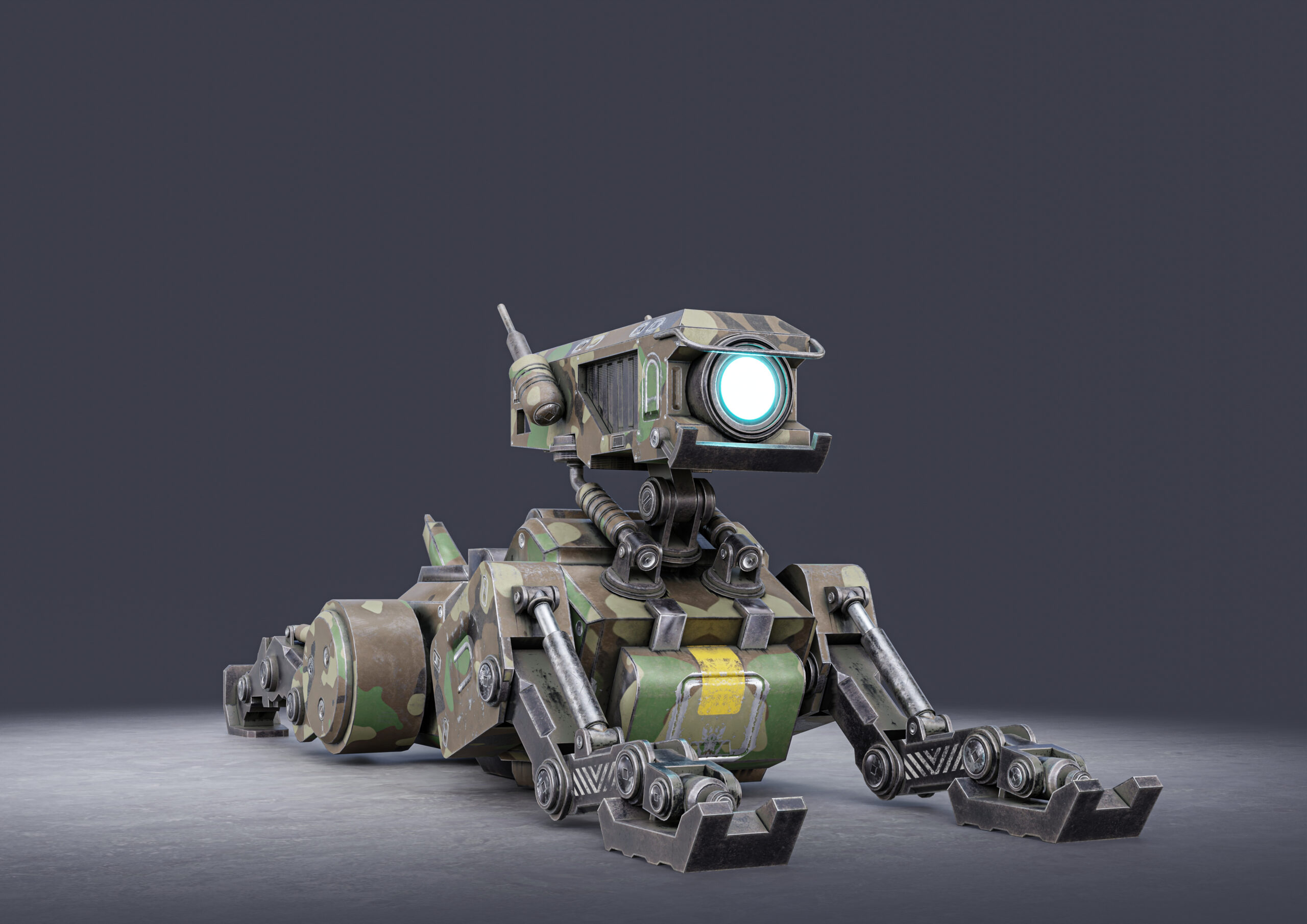 Military and security robotics