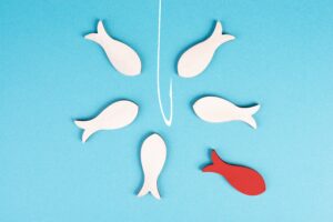 Building a phishing resilience programme for organisations